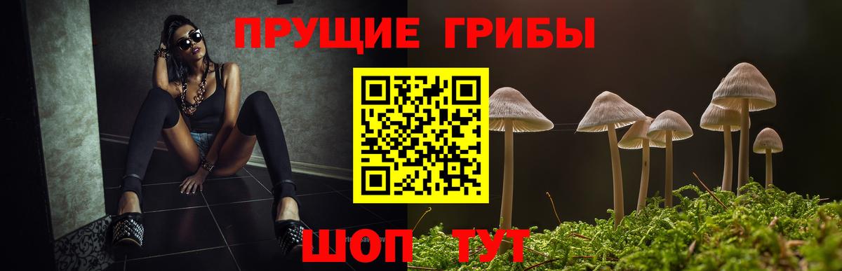 Псилоцибиновые грибы ЛСД Уссурийск